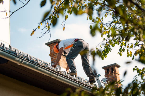 Best Roof Installation  in Standish, MI