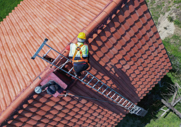 Best Roof Coating and Sealing  in Standish, MI