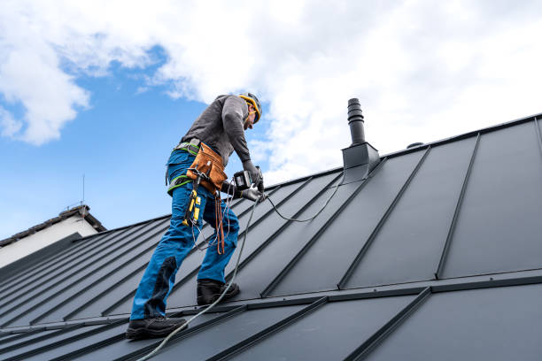 Best Skylight Installation and Repair  in Standish, MI